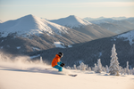 How the Right Knee Brace Can Elevate Your Skiing Experience